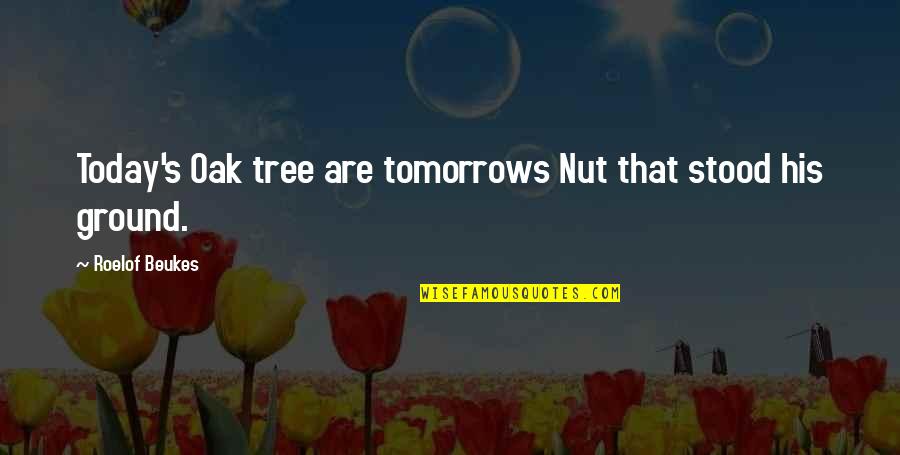 The Two Wills Of God Quotes By Roelof Beukes: Today's Oak tree are tomorrows Nut that stood