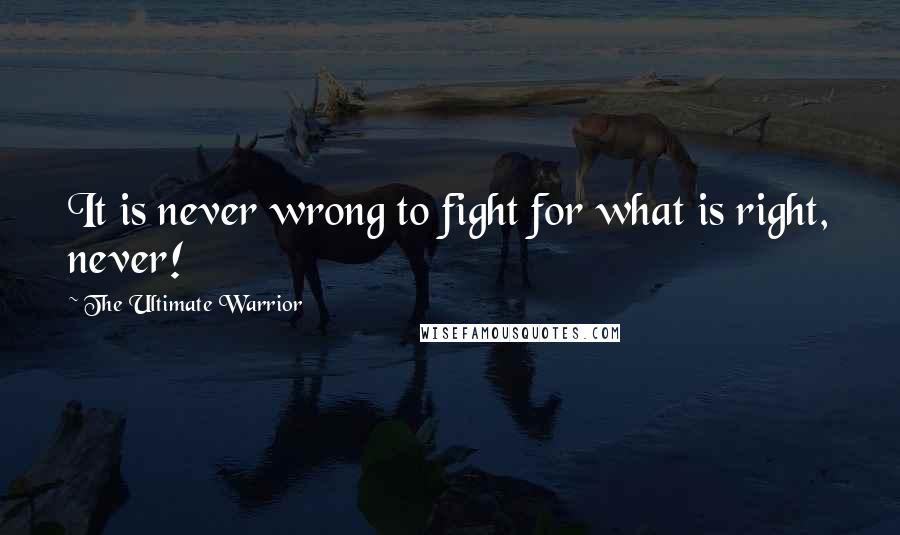 The Ultimate Warrior quotes: It is never wrong to fight for what is right, never!