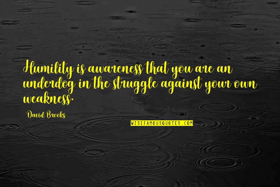 The Underdog Quotes By David Brooks: Humility is awareness that you are an underdog