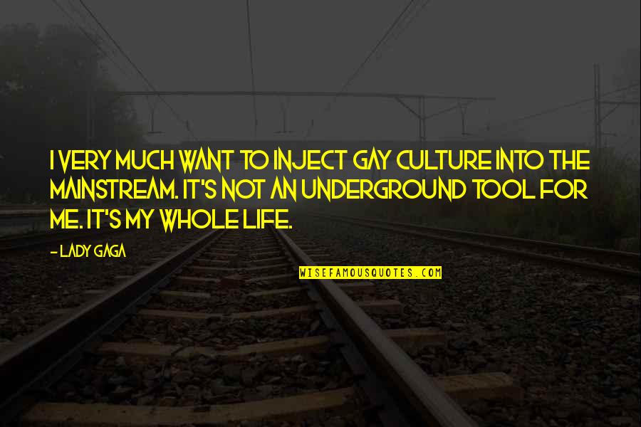 The Underground Quotes By Lady Gaga: I very much want to inject gay culture