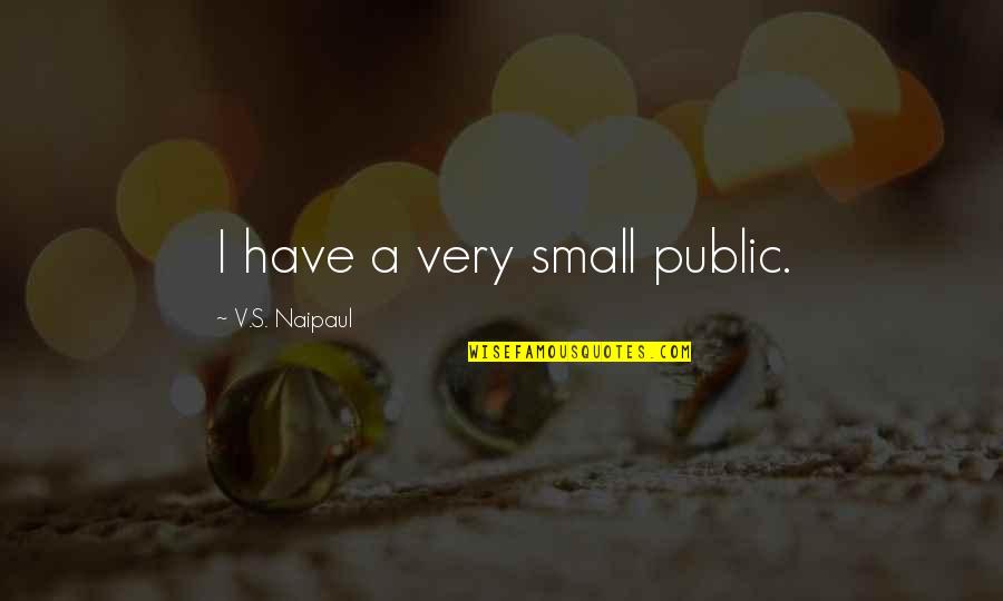 The Undomestic Goddess Quotes By V.S. Naipaul: I have a very small public.