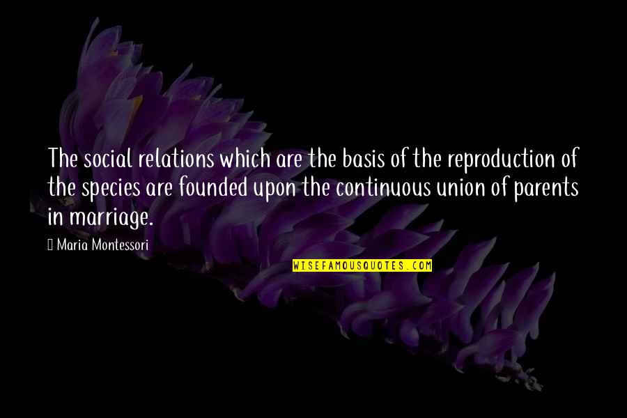 The Union Of Marriage Quotes By Maria Montessori: The social relations which are the basis of The Union Of Marriage Quotes By Maria Montessori: The social relations which are the basis of