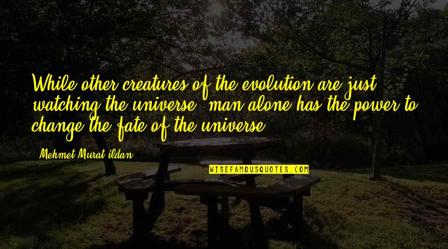 The Universe And Fate Quotes By Mehmet Murat Ildan: While other creatures of the evolution are just The Universe And Fate Quotes By Mehmet Murat Ildan: While other creatures of the evolution are just