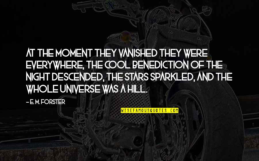 The Universe And Stars Quotes By E. M. Forster: At the moment they vanished they were everywhere,