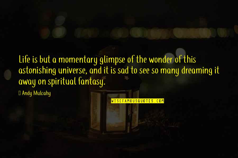The Universe Spiritual Quotes By Andy Mulcahy: Life is but a momentary glimpse of the