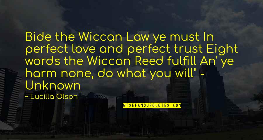 The Unknown Love Quotes By Lucilla Olson: Bide the Wiccan Law ye must In perfect