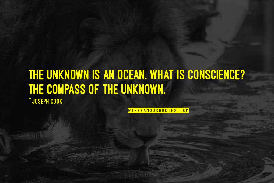 The Unknown Quotes By Joseph Cook: The Unknown is an ocean. What is conscience?