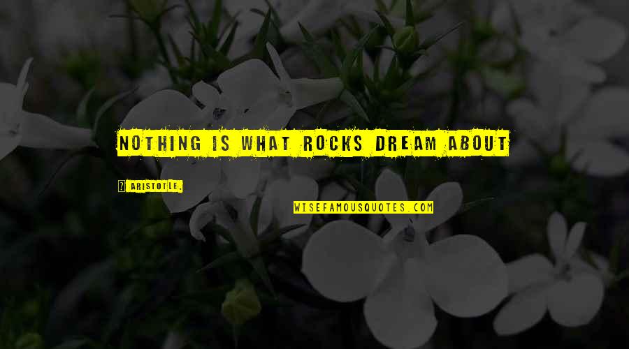 The Unusuals Quotes By Aristotle.: Nothing is what rocks dream about