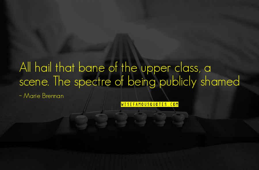 The Upper Class Quotes By Marie Brennan: All hail that bane of the upper class,