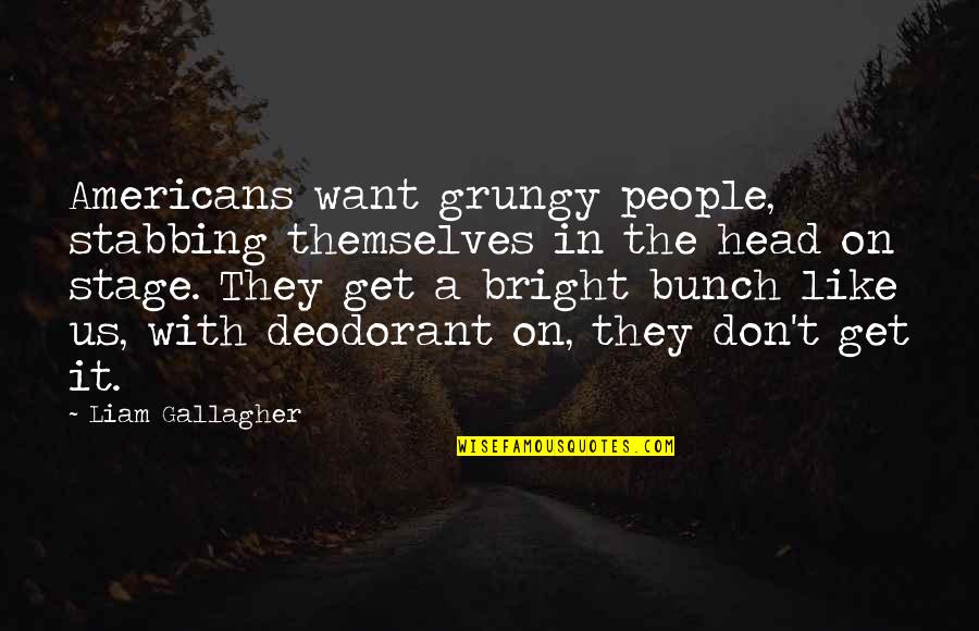 The Us Quotes By Liam Gallagher: Americans want grungy people, stabbing themselves in the