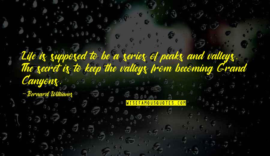 The Valleys Of Life Quotes By Bernard Williams: Life is supposed to be a series of The Valleys Of Life Quotes By Bernard Williams: Life is supposed to be a series of