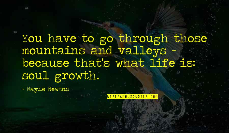 The Valleys Of Life Quotes By Wayne Newton: You have to go through those mountains and The Valleys Of Life Quotes By Wayne Newton: You have to go through those mountains and