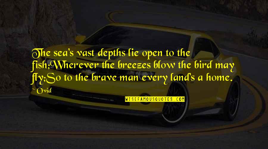 The Vast Sea Quotes By Ovid: The sea's vast depths lie open to the