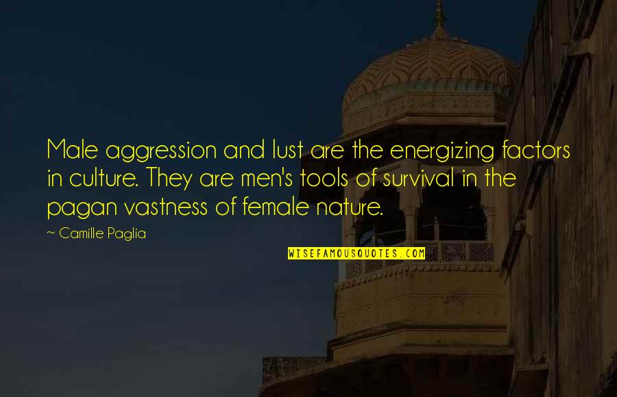 The Vastness Of Nature Quotes By Camille Paglia: Male aggression and lust are the energizing factors