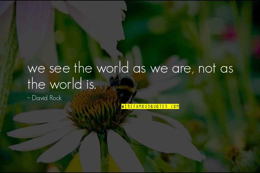 The Virgin Suicides Quotes By David Rock: we see the world as we are, not