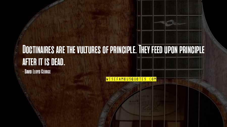 The Vulture Quotes By David Lloyd George: Doctinaires are the vultures of principle. They feed