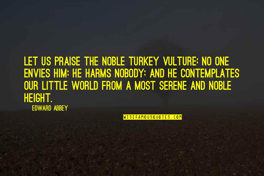 The Vulture Quotes By Edward Abbey: Let us praise the noble turkey vulture: No