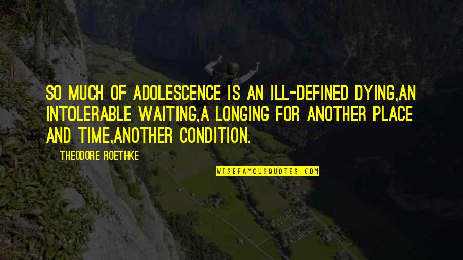 The Waiting Place Quotes By Theodore Roethke: So much of adolescence is an ill-defined dying,An