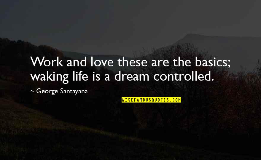 The Waking Life Quotes By George Santayana: Work and love these are the basics; waking The Waking Life Quotes By George Santayana: Work and love these are the basics; waking