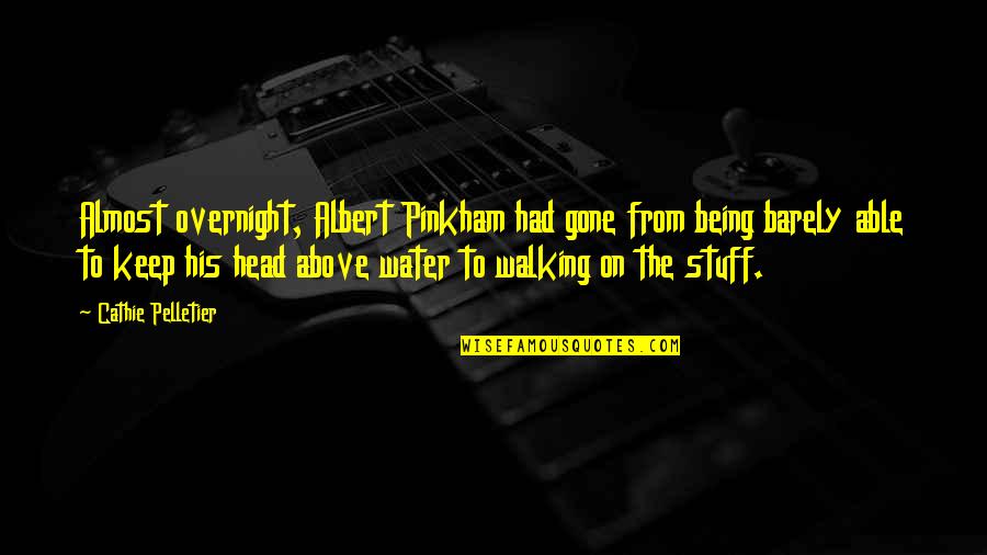 The Walking Quotes By Cathie Pelletier: Almost overnight, Albert Pinkham had gone from being