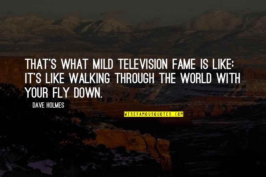 The Walking Quotes By Dave Holmes: That's what mild television fame is like: it's