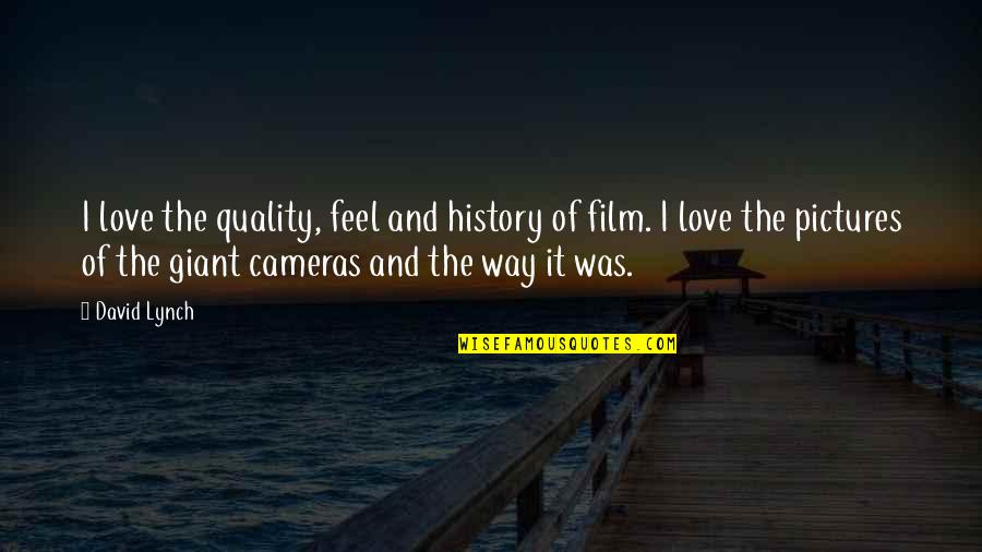 The Way Film Quotes By David Lynch: I love the quality, feel and history of