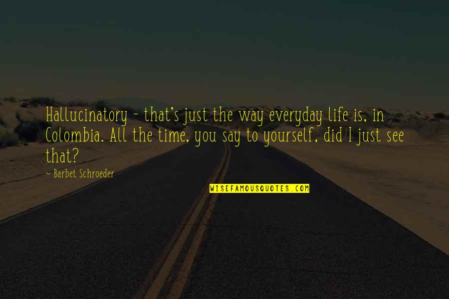 The Way I See Life Quotes By Barbet Schroeder: Hallucinatory - that's just the way everyday life