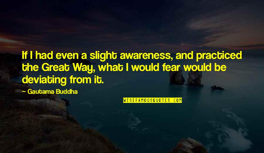 The Way Of The Buddha Quotes By Gautama Buddha: If I had even a slight awareness, and