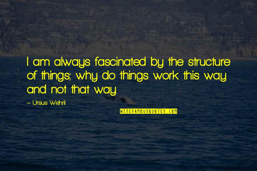 The Way Things Work Out Quotes By Ursus Wehrli: I am always fascinated by the structure of