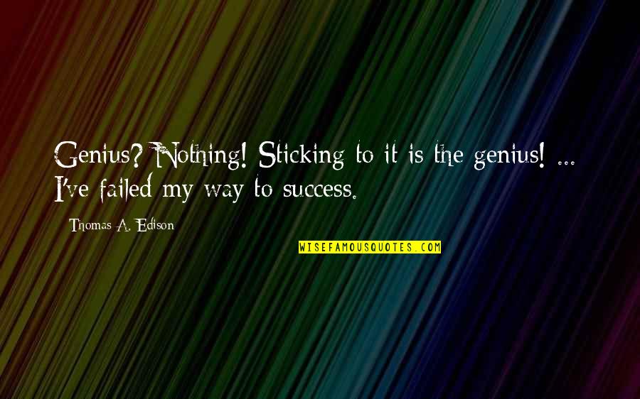 The Way To Success Quotes By Thomas A. Edison: Genius? Nothing! Sticking to it is the genius!