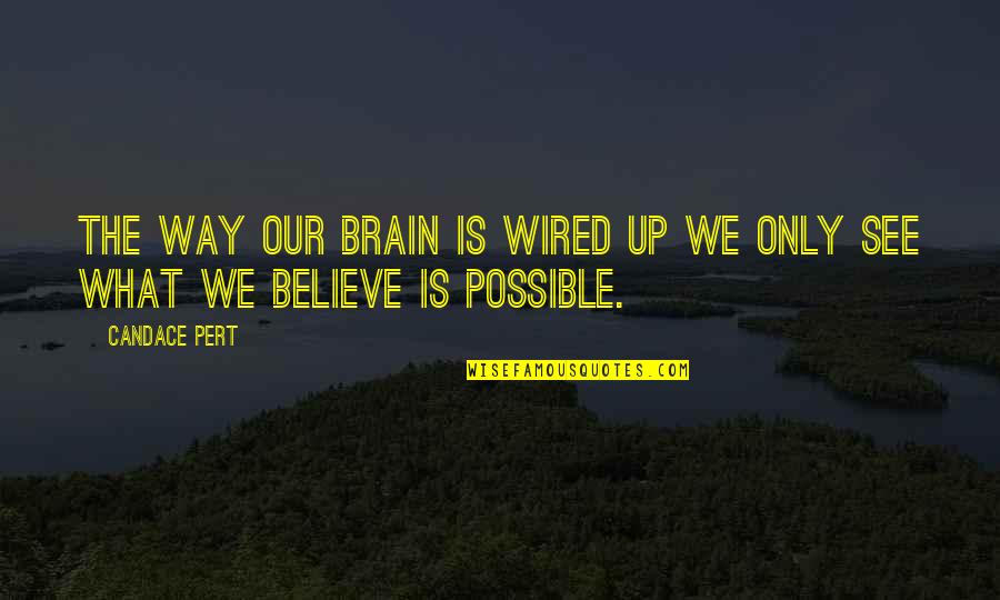 The Way We See Quotes By Candace Pert: The way our brain is wired up we