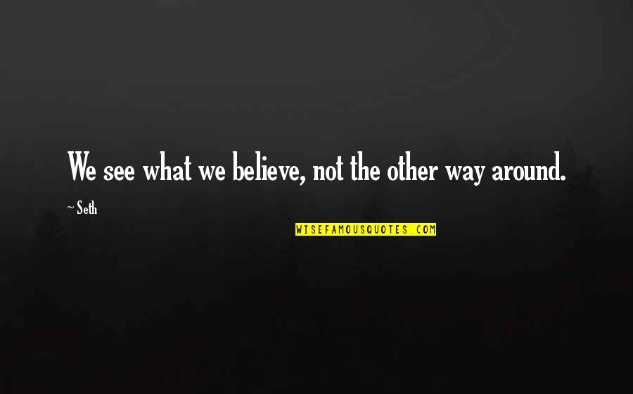The Way We See Quotes By Seth: We see what we believe, not the other
