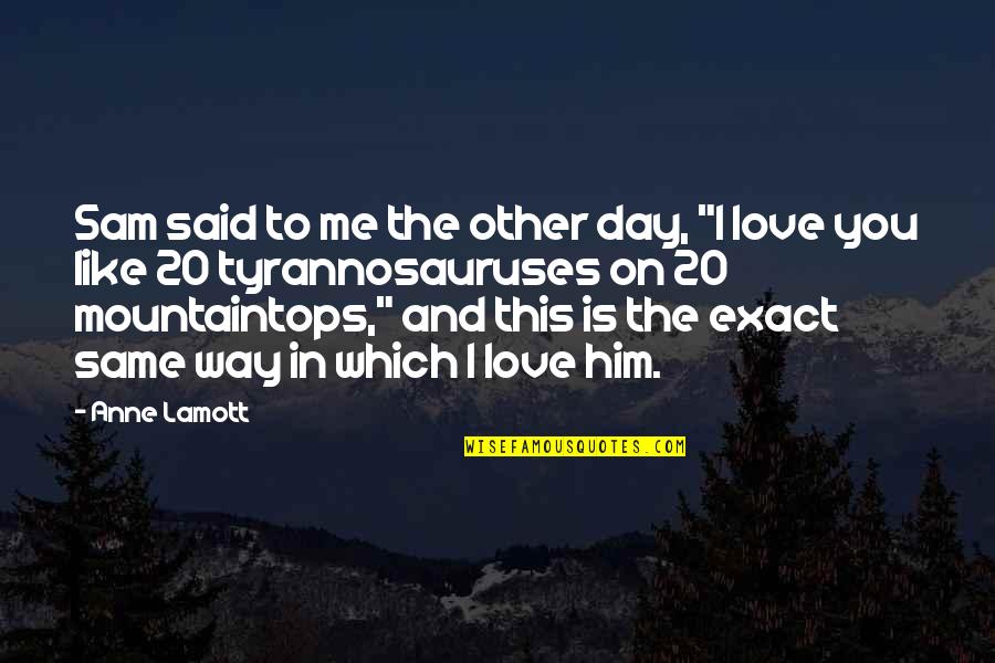 The Way You Love Me Quotes By Anne Lamott: Sam said to me the other day, "I