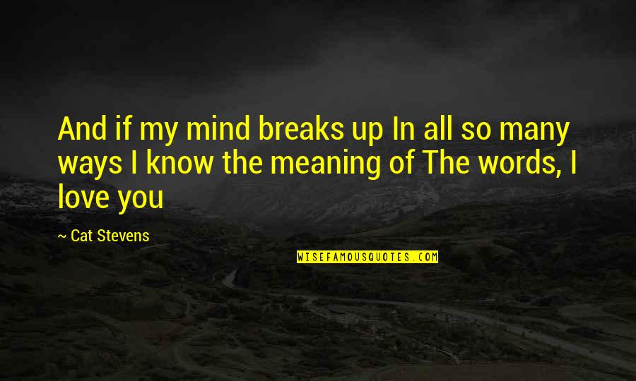 The Ways I Love You Quotes By Cat Stevens: And if my mind breaks up In all
