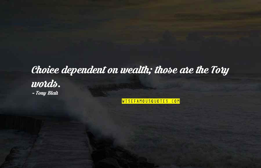 The Wealth Choice Quotes By Tony Blair: Choice dependent on wealth; those are the Tory