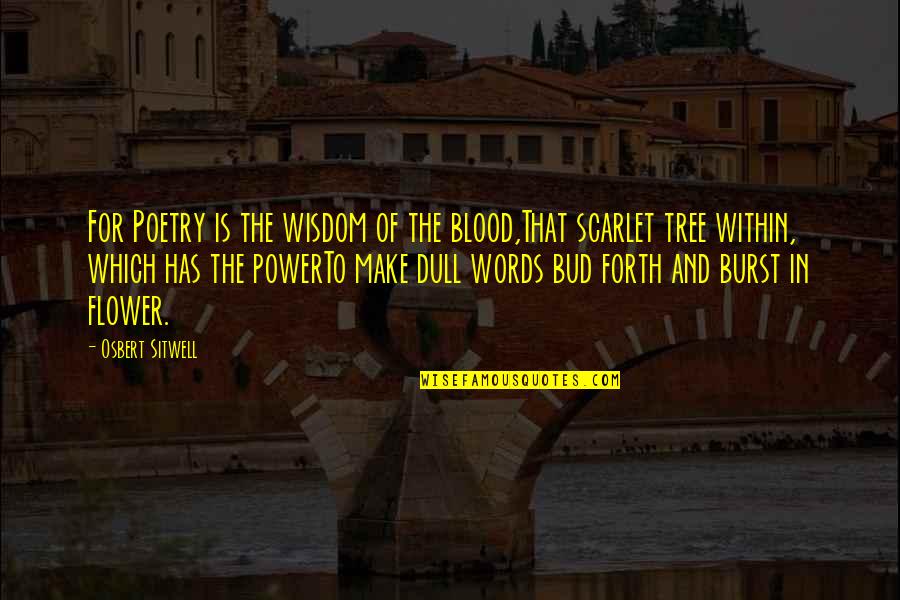 The Weeknd Dawn Fm Quotes By Osbert Sitwell: For Poetry is the wisdom of the blood,That The Weeknd Dawn Fm Quotes By Osbert Sitwell: For Poetry is the wisdom of the blood,That