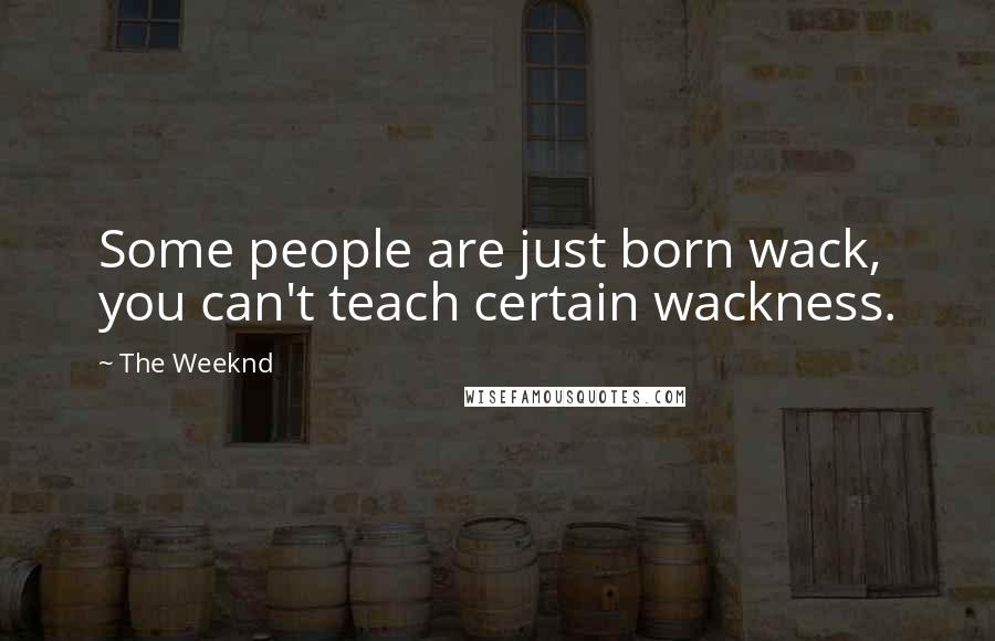 The Weeknd quotes: Some people are just born wack, you can't teach certain wackness.
