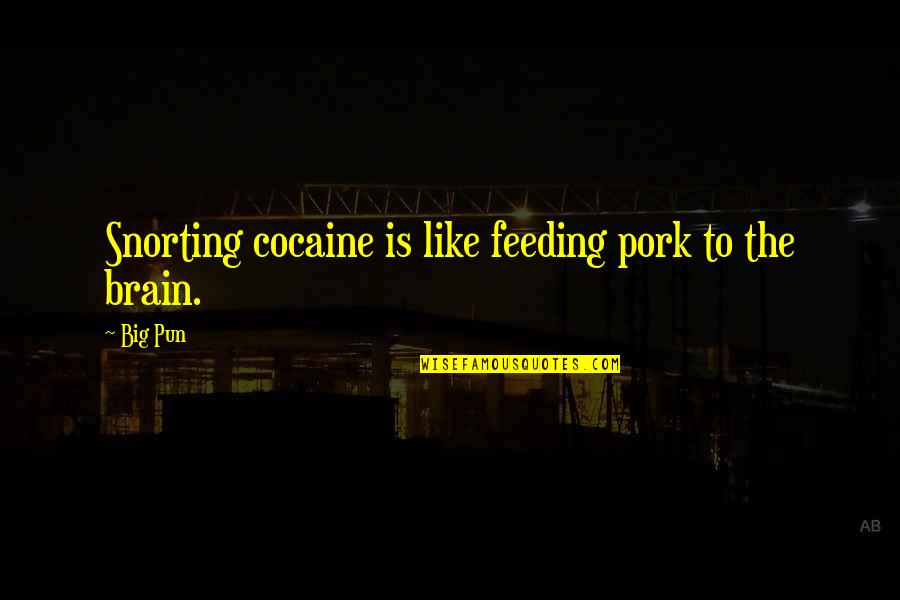 The West Memphis Three Quotes By Big Pun: Snorting cocaine is like feeding pork to the
