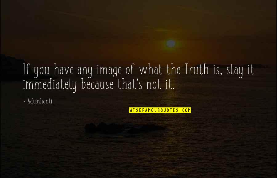 The What Ifs Quotes By Adyashanti: If you have any image of what the