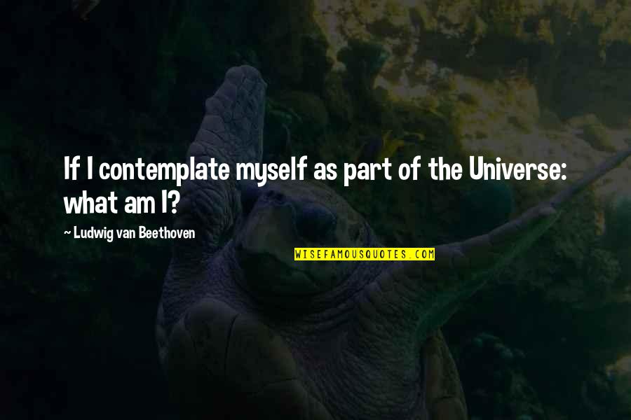 The What Ifs Quotes By Ludwig Van Beethoven: If I contemplate myself as part of the