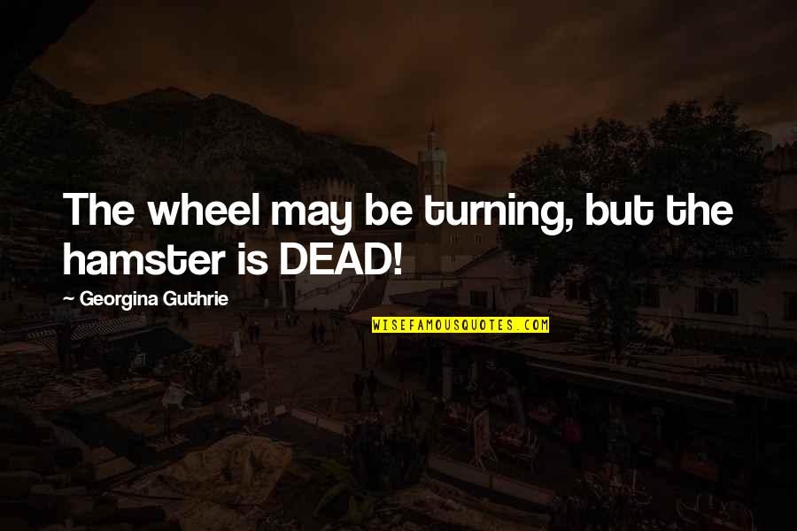 The Wheel Quotes By Georgina Guthrie: The wheel may be turning, but the hamster The Wheel Quotes By Georgina Guthrie: The wheel may be turning, but the hamster