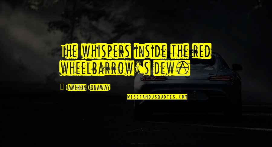 The Wheelbarrow Quotes By Cameron Conaway: The whispers inside the red wheelbarrow's dew.