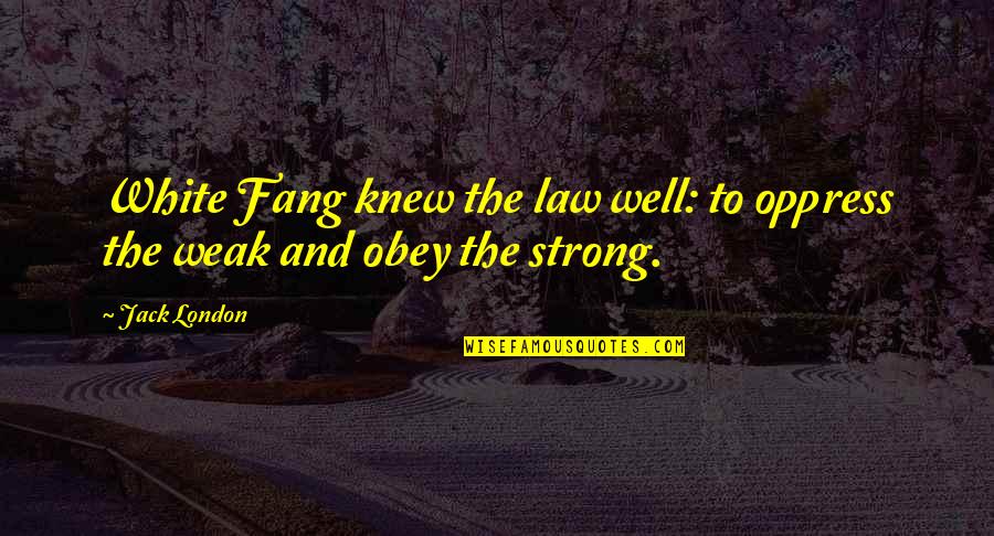 The White Fang Quotes By Jack London: White Fang knew the law well: to oppress