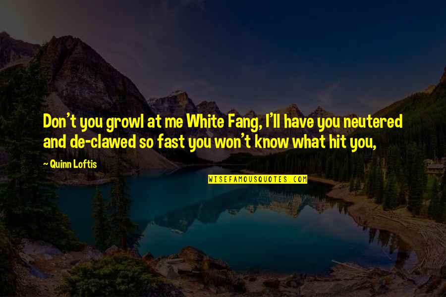 The White Fang Quotes By Quinn Loftis: Don't you growl at me White Fang, I'll