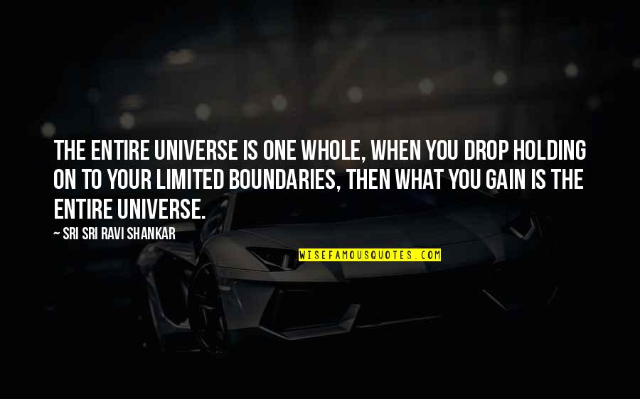 The Whole Universe Quotes By Sri Sri Ravi Shankar: The entire universe is one whole, when you The Whole Universe Quotes By Sri Sri Ravi Shankar: The entire universe is one whole, when you