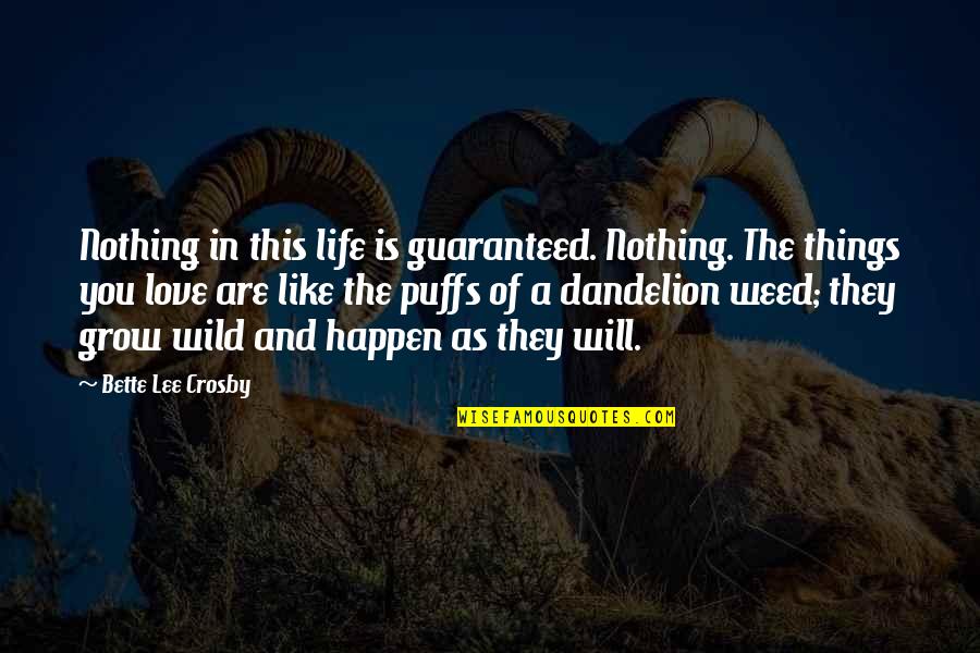 The Wild Things Quotes By Bette Lee Crosby: Nothing in this life is guaranteed. Nothing. The The Wild Things Quotes By Bette Lee Crosby: Nothing in this life is guaranteed. Nothing. The