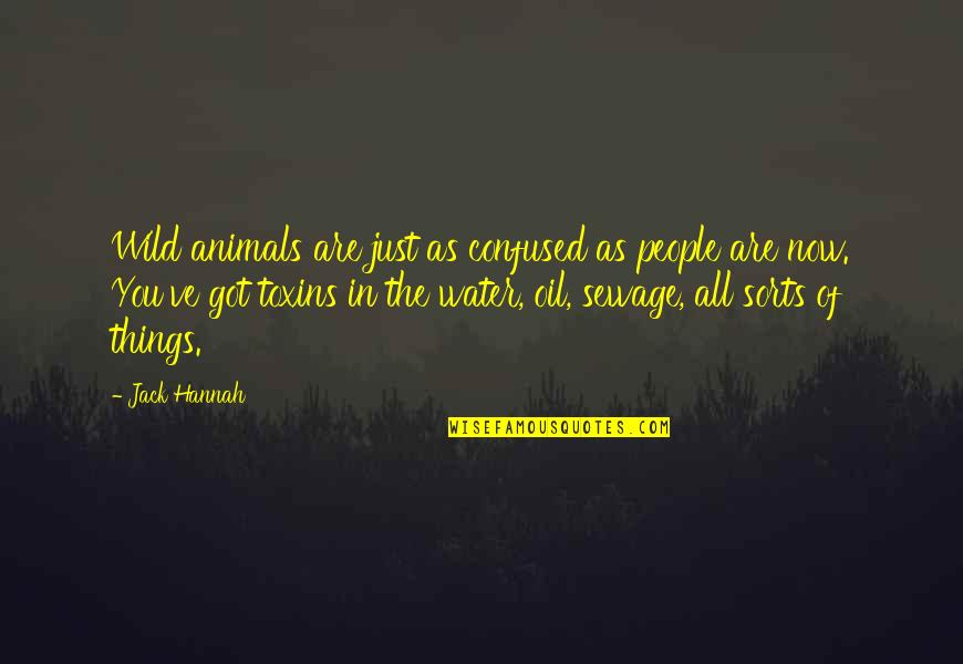 The Wild Things Quotes By Jack Hannah: Wild animals are just as confused as people The Wild Things Quotes By Jack Hannah: Wild animals are just as confused as people
