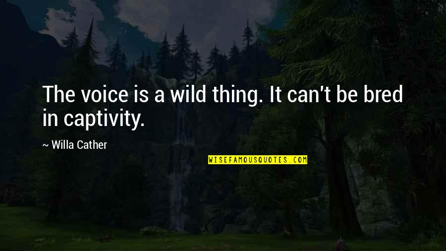 The Wild Things Quotes By Willa Cather: The voice is a wild thing. It can't The Wild Things Quotes By Willa Cather: The voice is a wild thing. It can't