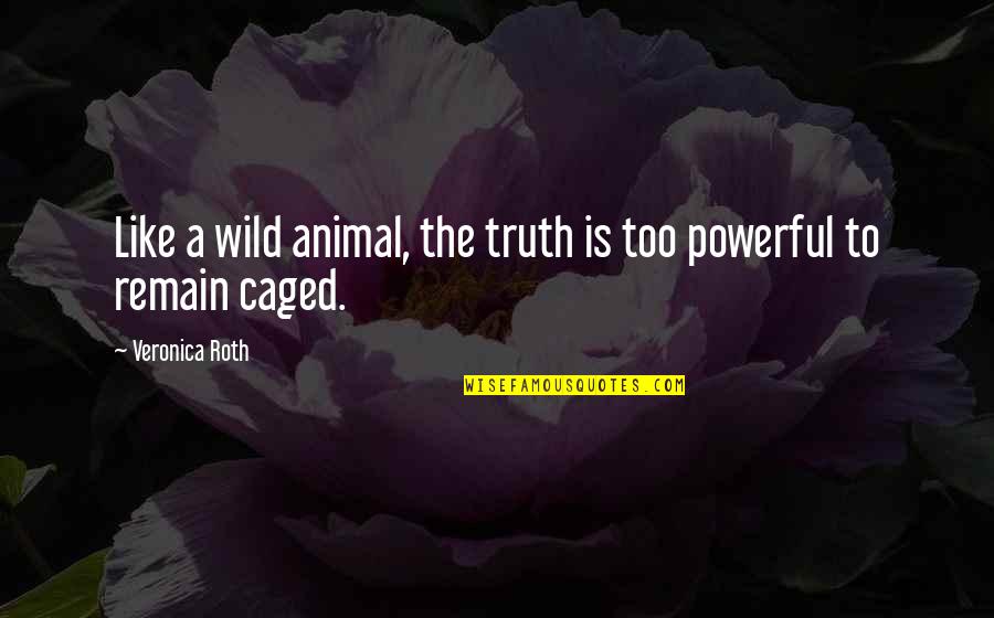 The Wild Truth Quotes By Veronica Roth: Like a wild animal, the truth is too The Wild Truth Quotes By Veronica Roth: Like a wild animal, the truth is too