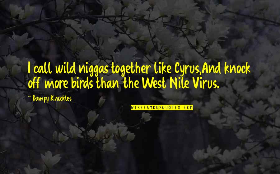 The Wild West Quotes By Bumpy Knuckles: I call wild niggas together like Cyrus,And knock